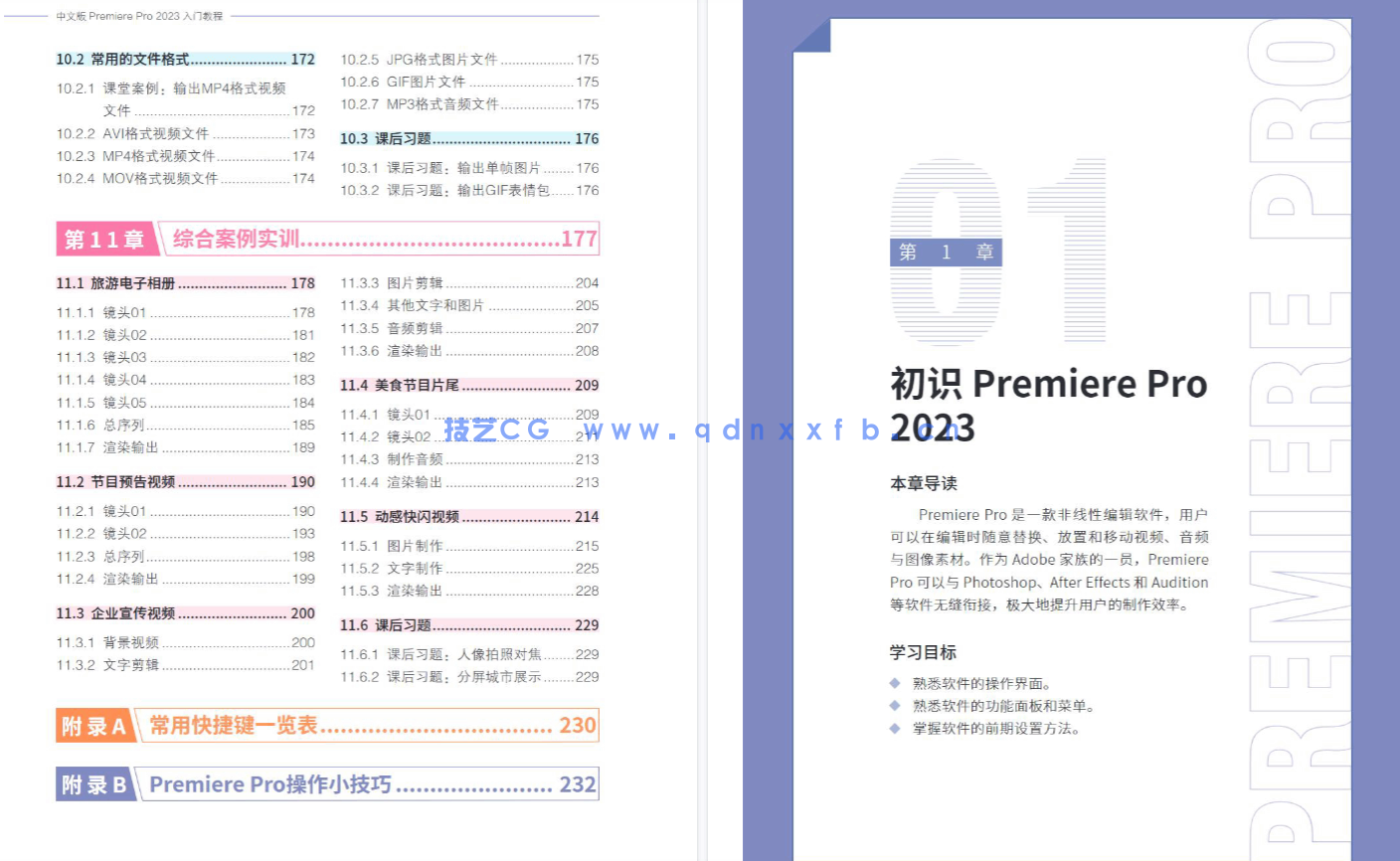 中文版Premiere Pro 2023入门教程(图19)