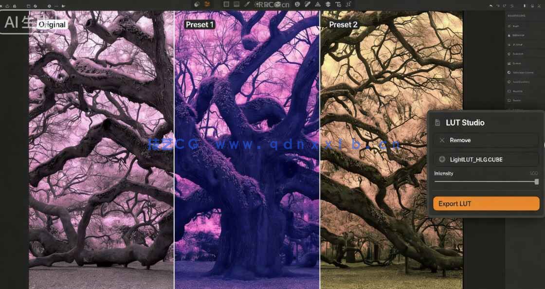 Irix HDR Pro Classic Pro人工智能照片编辑软件V2.3.57版(图2)