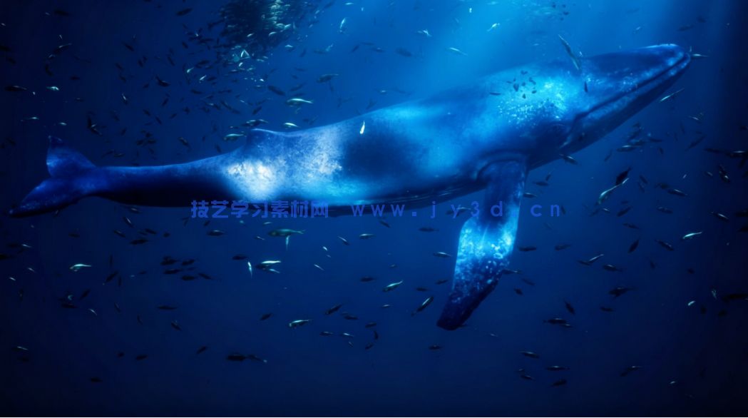  水下世界场景生成工具UE游戏素材(图5)