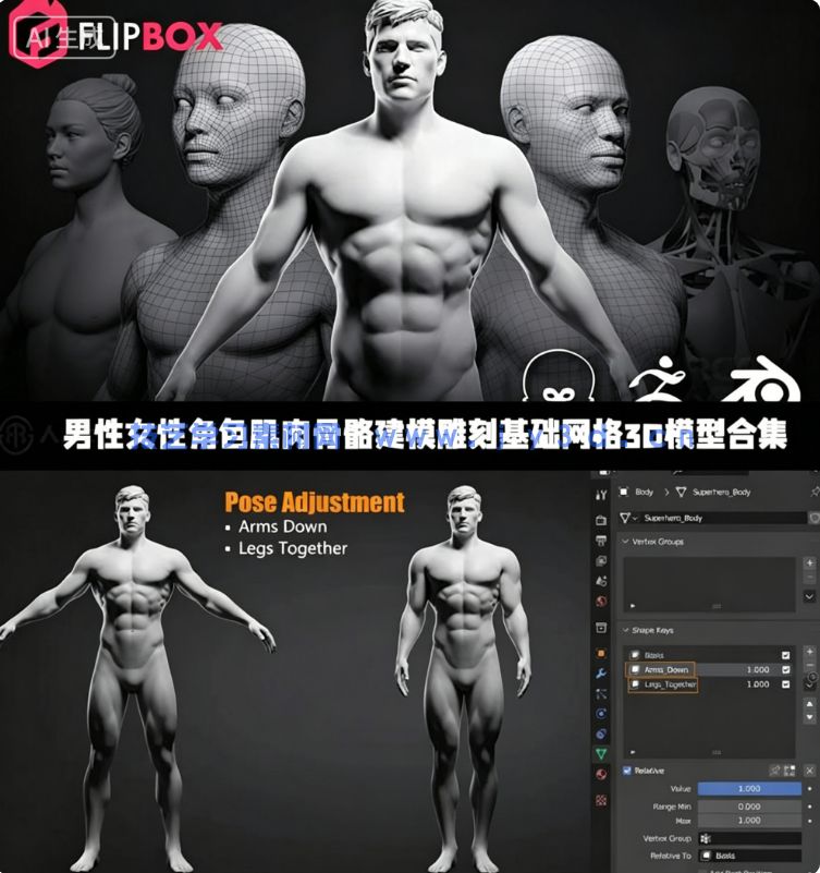 男性女性角色肌肉骨骼建模雕刻基础网格3D模型合集(图1) 男性女性角色肌肉骨骼建模雕刻基础网格3D模型合集(图1)