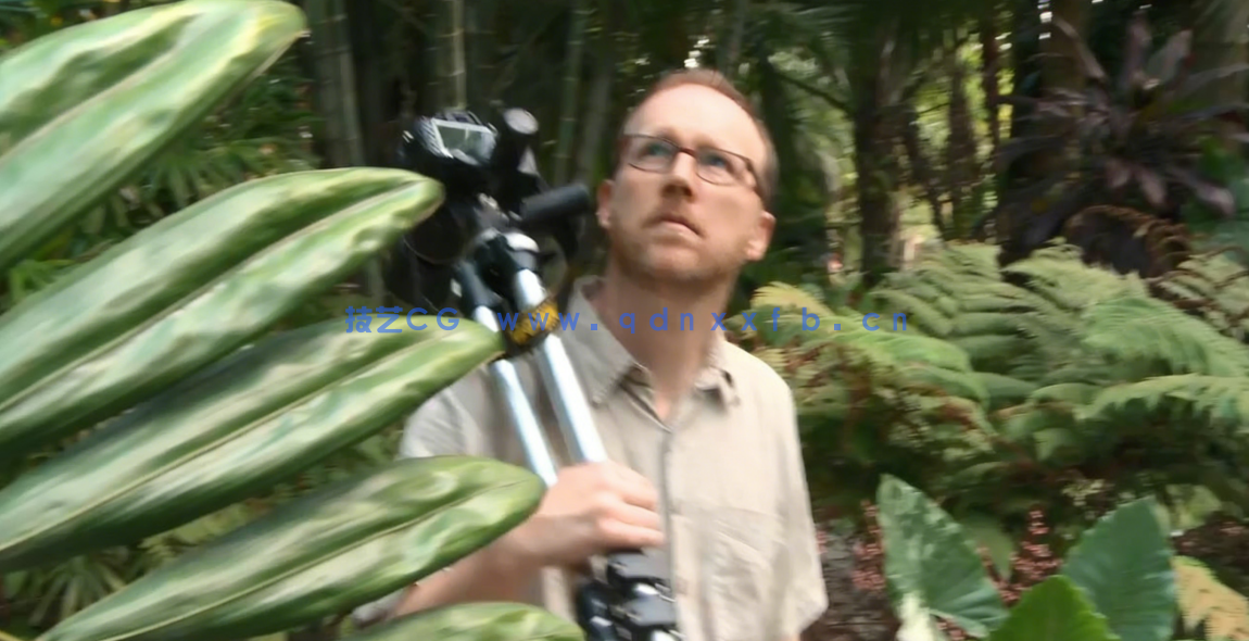 野外自然植物昆虫宏观摄影视频教程(图3)